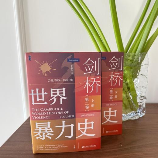 剑桥世界暴力史（第二卷）：公元500—1500年（全2册） 商品图3