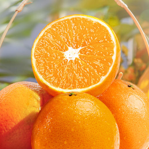 【 杨博士甄选】江西赣南脐橙 新鲜橙子 果园直发 现摘现发 顺丰发货 商品图4
