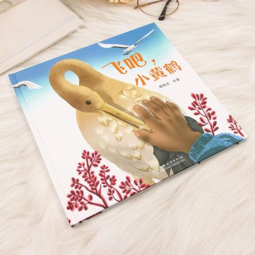 飞吧，小黄鹤 &3480  红滩绿苇间的飞行梦！小黄鹤的辽河口丹顶鹤救助成长 + 自然保护科普绘本 商品图2