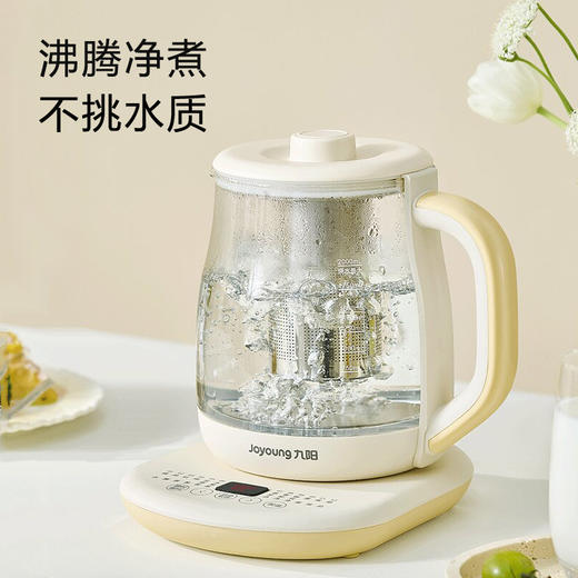 九阳2.0升L大容量养生壶煮茶器316L不锈钢茶篮电水壶花茶壶烧水壶 商品图8