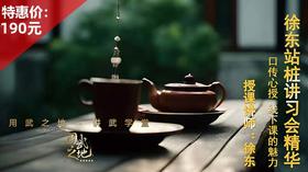 徐东站桩讲习会精华【在线观看，无需发货】——徐师亲授