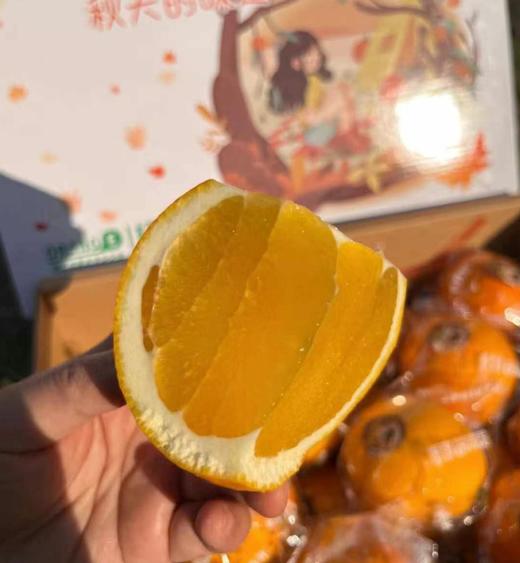 橙皇脐橙 汁水足 甜度好，浓甜微酸 橙味浓郁 CCTV上榜品牌 商品图0