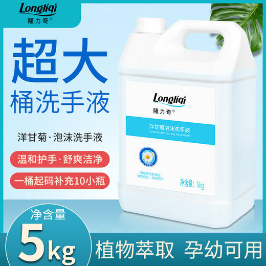 隆力奇清香抑菌泡沫型洗手液儿童可用大桶补充装按压瓶家庭用包邮 商品图0