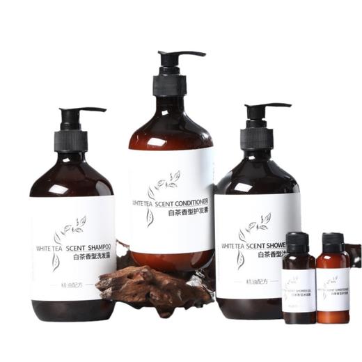 星级酒店宾馆民宿小瓶装洗发水沐浴露护发素洗手液洗沐套装消耗品 商品图4