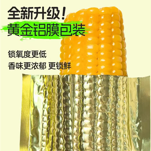 【醒粉福利24.9元5斤共8大根】【吉林黄甜糯玉米】粒大饱满原香浓郁 糯叽叽巨好吃 商品图1