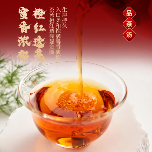 茶马世家特级利川红100g 商品图9