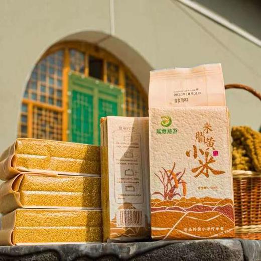 今年新米上市2025年 | 米脂黄小米三层米油月子米（五斤包邮）产地直供 商品图7