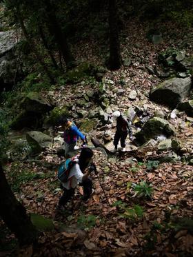 【已成团】行走自然: 黄山保护区探索团 4月团招募 四天三晚 （12人满团，4月10日截团）