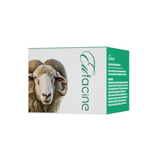 【保税仓】新西兰Eufacine 绵羊油滋养霜 100g*3瓶 商品图2