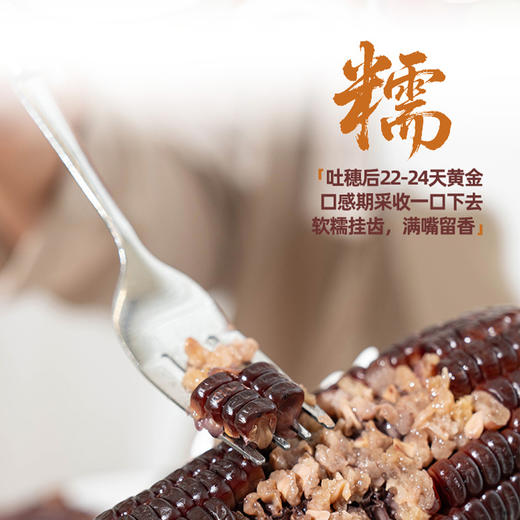【黑珍珠糯玉米】天然黑色谷物 高纤维促消化 香甜软糯 满满花青素 220g*5根/袋*2袋 商品图2