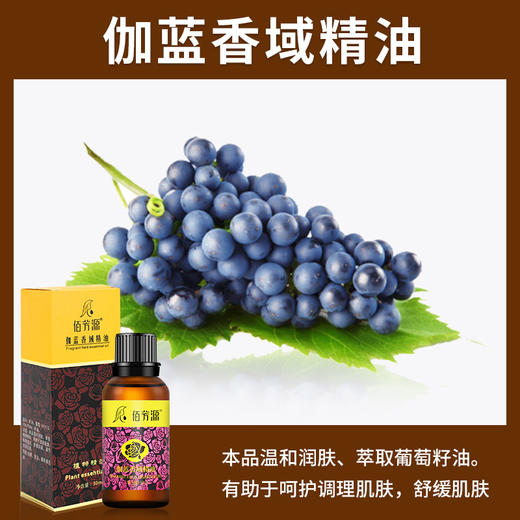 30毫升玫瑰精油按摩全身会所足浴足疗小瓶按摩精油开背刮痧板spa 商品图1
