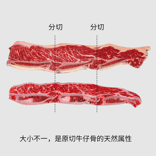 鲜会鲜澳洲/美国进口原切谷饲牛仔骨生鲜牛肉精选带骨牛小排1kg（赠牛佰仕黄油4盒； 品高海盐黑胡椒 4包）生鲜不支持七天无理由 商品图1