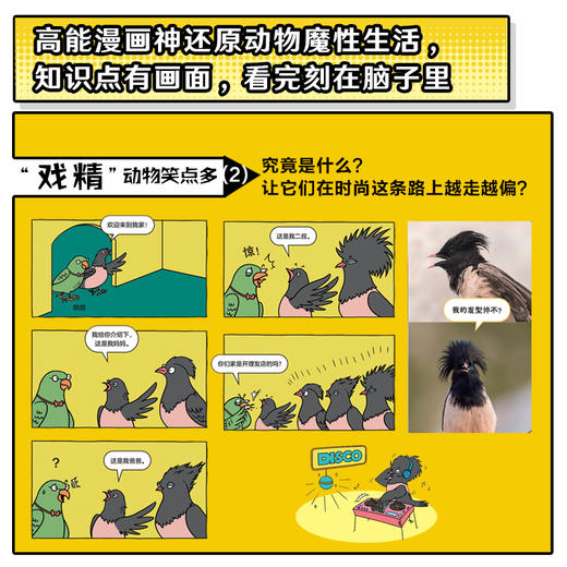 《谢耳朵漫画·动物大爆炸》全5册 商品图4