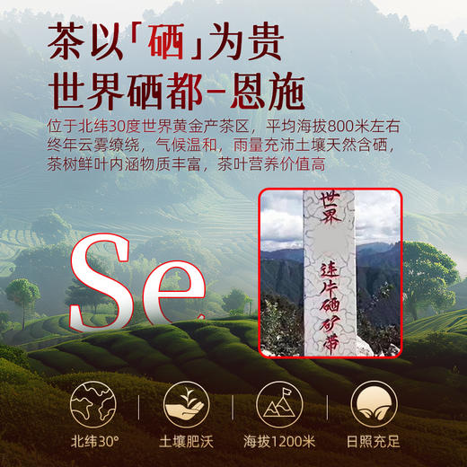 茶马世家特级利川红100g 商品图1