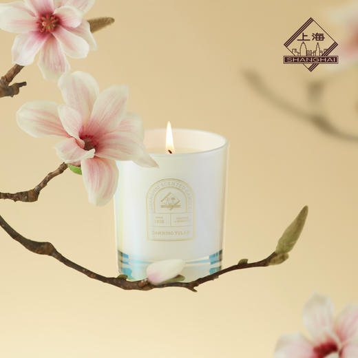 上海香薰蜡烛 沐光玉兰200g 商品图1