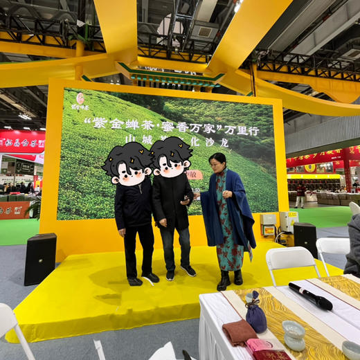 【茶服】蝶恋花背心裙/织锦/立体花纹/A版/对梨形身材非常友好/小批量定制/5件成团/不支持退换货，介意慎拍 商品图3