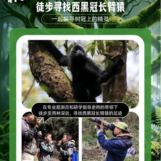 云南｜哀牢山无量山科考4天3晚/2天1晚可选，全球顶级自然资源，生物多样性的绿色宝库，走进自然一起探索大自然的奥秘！探索虫谷秘境！ 商品图7