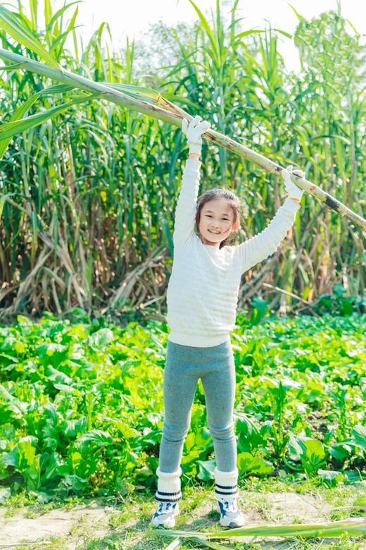 12.20（六）❗️ 【双流黄水镇·冬至快乐】 挤羊奶、搬甘蔗、榨甘蔗汁、画糖画、烤羊奶面包、烤铁盒爆米花、趣味赶鸭 商品图3
