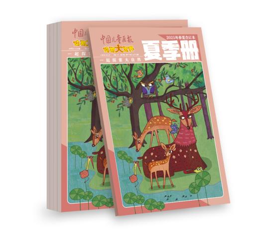 动物大世界2025上半年合订本 春季册+夏季册 商品图3
