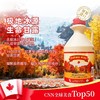 加拿大枫糖浆 风味独特 低糖低热量 天然无添加 烘焙 饮品 烤肉 中西餐点天然代糖佳品 原瓶进口 包邮 |百里食 商品缩略图0