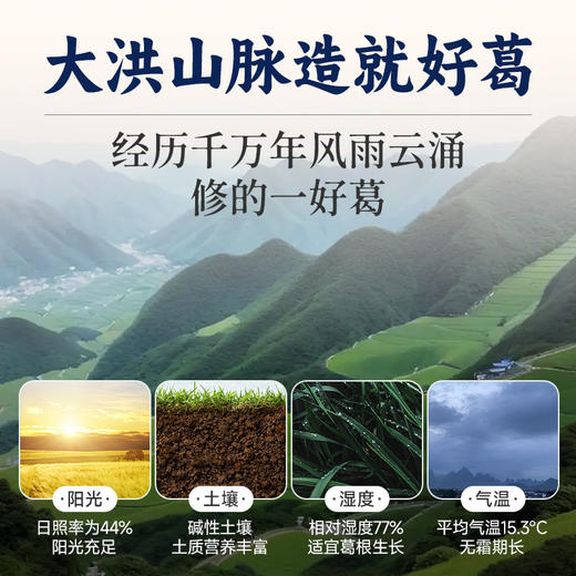 有机葛根粉 源自葛粉之乡 道地原材 粉质细腻易冲泡 500克/罐 商品图4