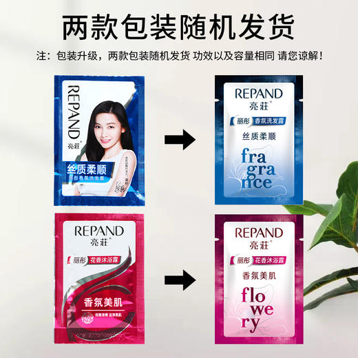 批发亮莊袋装洗发水沐浴露酒店宾馆客房亮庄一次性洗发露液洗头膏 商品图1