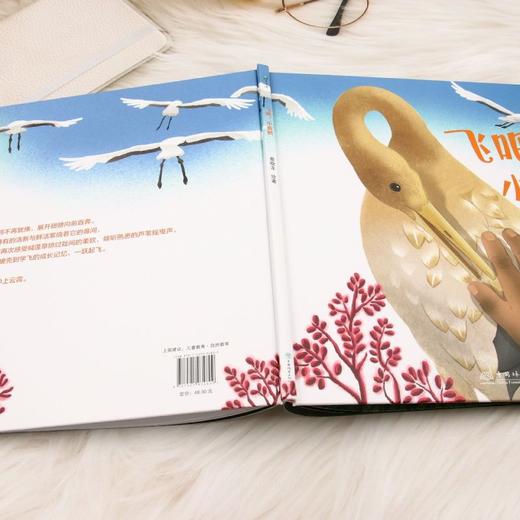 飞吧，小黄鹤 &3480  红滩绿苇间的飞行梦！小黄鹤的辽河口丹顶鹤救助成长 + 自然保护科普绘本 商品图5