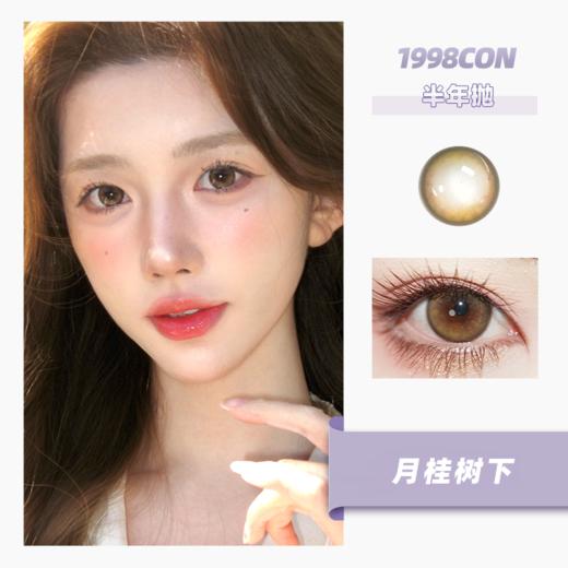 月桂树下（半年抛） 商品图0