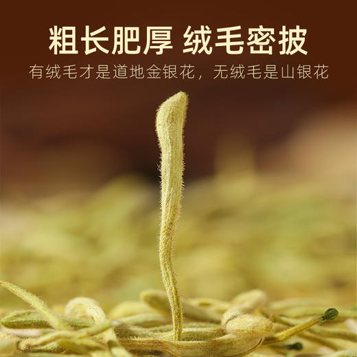 【冬季滋补】【杞里香金银花茶28g*1】头茬新花  当季采摘 夏日解暑花 泡水喝 商品图5