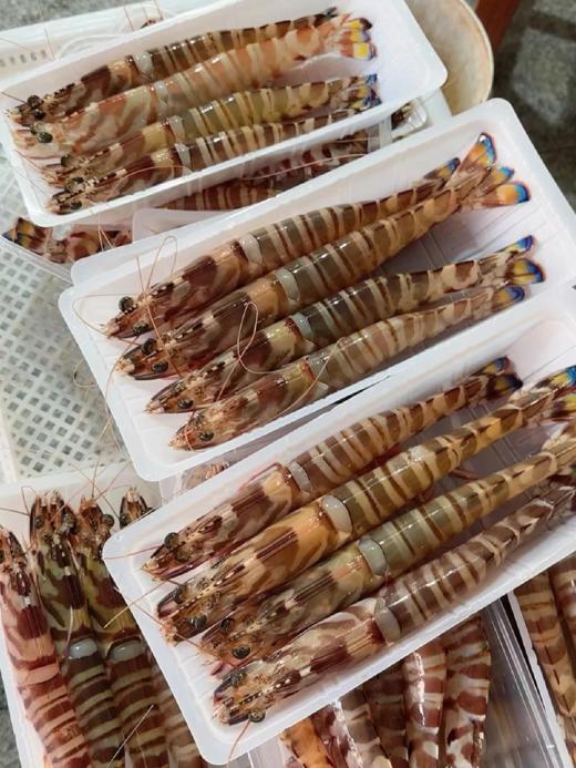 & 深海超大斑节虾🦐虾青素含量极高，爆满的虾肉，入口Q弹带有很浓的鲜虾味～活冻 商品图3