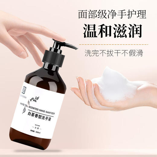 白茶洗手液300ml五星级酒店宾馆民宿商用美容院5L大桶补充装批发 商品图1