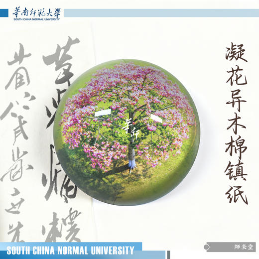 华师水晶镇纸 商品图1