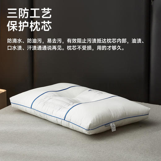 全棉三防决明子安睡枕 商品图2