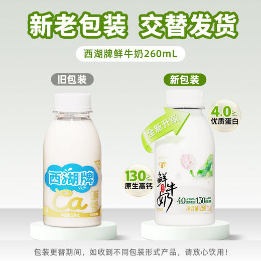 【快递直达】西湖牌高钙鲜牛奶260mL（多规格可选） 商品图7
