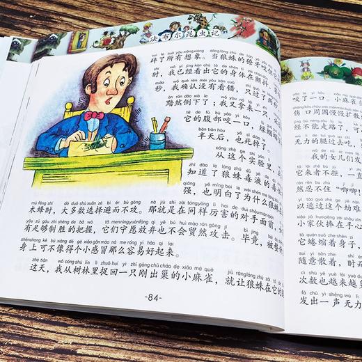 少儿读经典--法布尔昆虫记（注音版） 商品图4