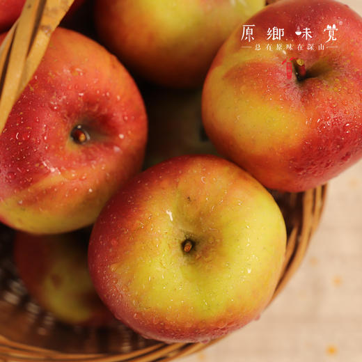 小金吴大姐生态红苹果（基地直发-邮政平邮） | 多种规格，来自四川小金，生产者：吴明清【合作生产·公平贸易】 商品图2