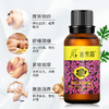 30毫升玫瑰精油按摩全身会所足浴足疗小瓶按摩精油开背刮痧板spa 商品缩略图2