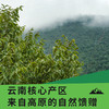 采云记云南有机核桃仁500g真空袋装 不苦不涩 回味清甜 双有机认证 商品缩略图1