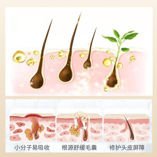 硫磺洗头膏洗发沐浴二合一洗发膏硫磺洗浴乳膏洗发沐浴膏现货批发 商品图2