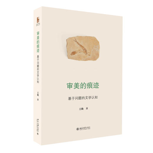 审美的痕迹 王确 著 北京大学出版社 诗学与美学研究丛书 商品图0