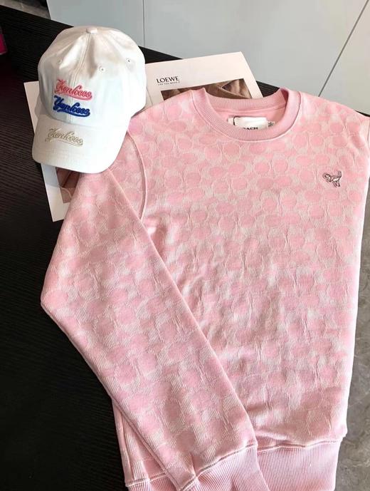 蔻家粉色满印小恐龙卫衣刺绣提花卫衣 商品图8