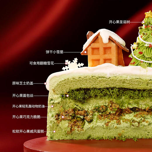 【开心乐园】迪拜开心果巧克力 商品图4