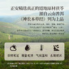正安 云南普洱茯苓 夏季采挖优质原材 颗粒饱满均匀切丁 原味清香口感软糯 300g/罐 商品缩略图5