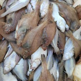 大连壮元海 新捕偏口鱼