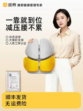 诺泰人体工学靠垫办公室护腰靠背垫护腰椅子靠垫久坐腰垫座椅腰靠