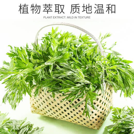 艾草老姜按摩精油油美容院spa全身推拿刮痧通经络身体按摩油批发 商品图2