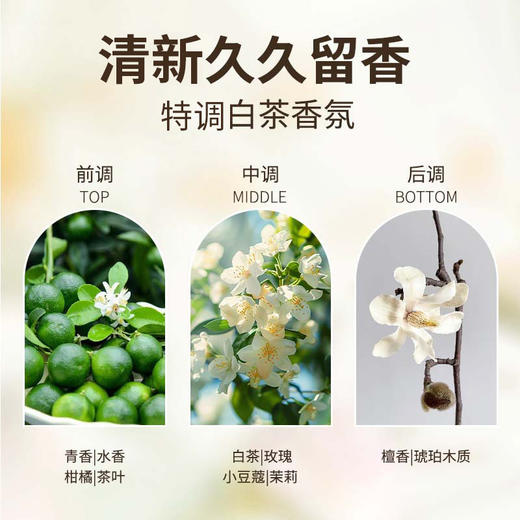 星级酒店宾馆民宿小瓶装洗发水沐浴露护发素洗手液洗沐套装消耗品 商品图2