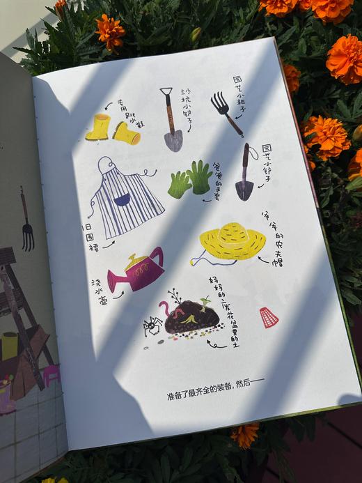 阳台农场 商品图1