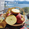 【大凉山丑苹果】 冰糖心爆甜 原滋原味 天然健康水果 5-8斤装 商品缩略图2