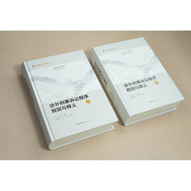 涉外刑事诉讼程序规则与释义（上下册） 艾静主编 白宇 肖兴利副主编 法律出版社